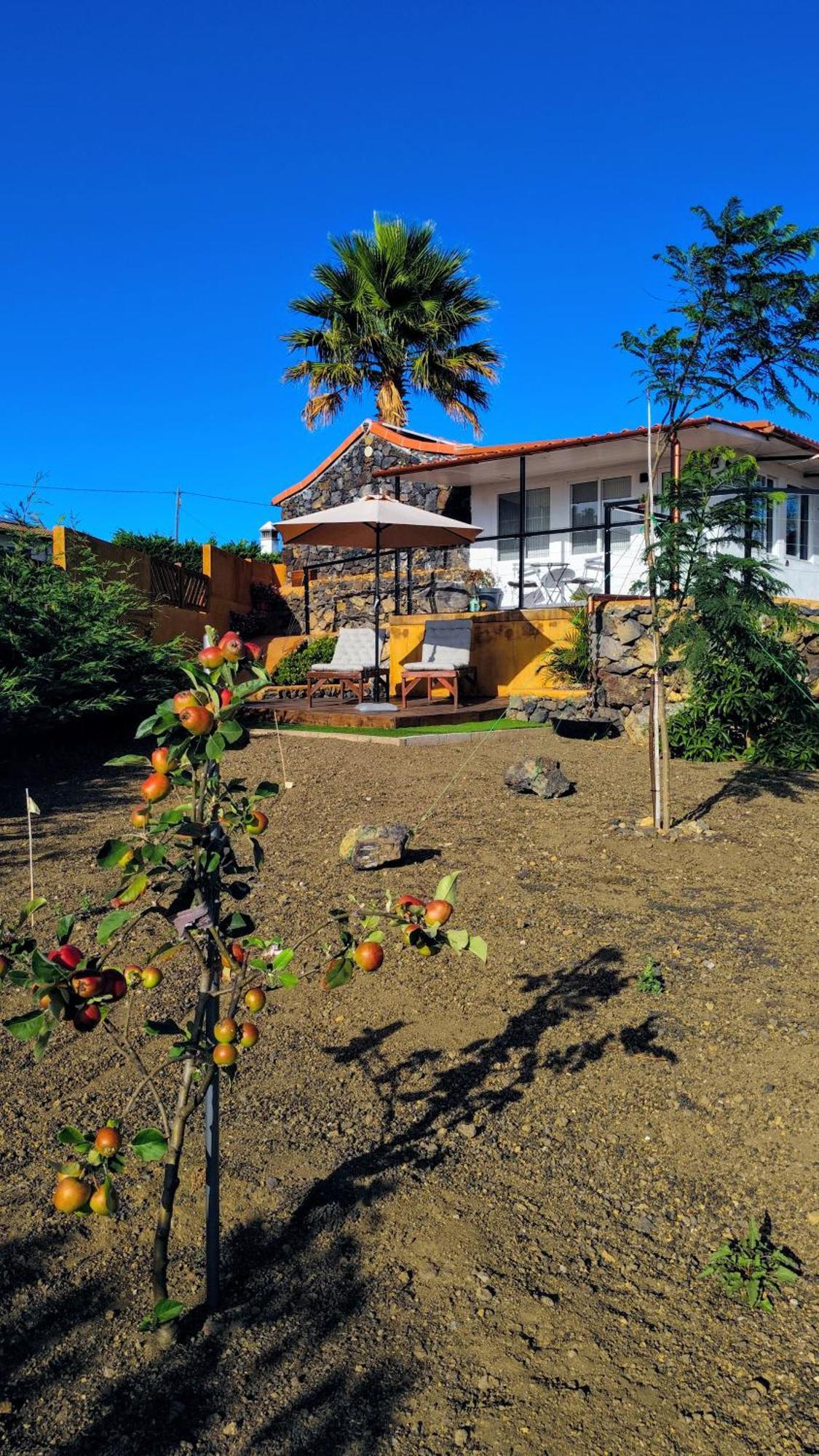 El Sueno: Un Lugar Especial Para Sus Vacaciones Fuencaliente de la Palma Exteriör bild